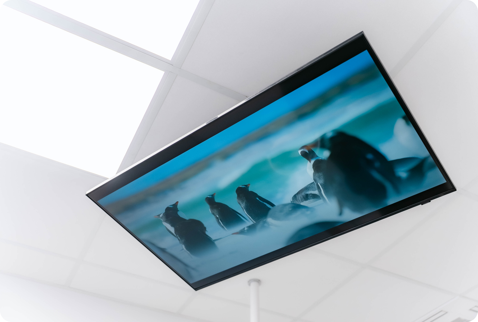 Notre cabinet Orthodontie à La Roche-sur-Foron, Dr Baillet, Artalign